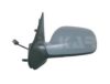 CITRO 8149G Outside Mirror